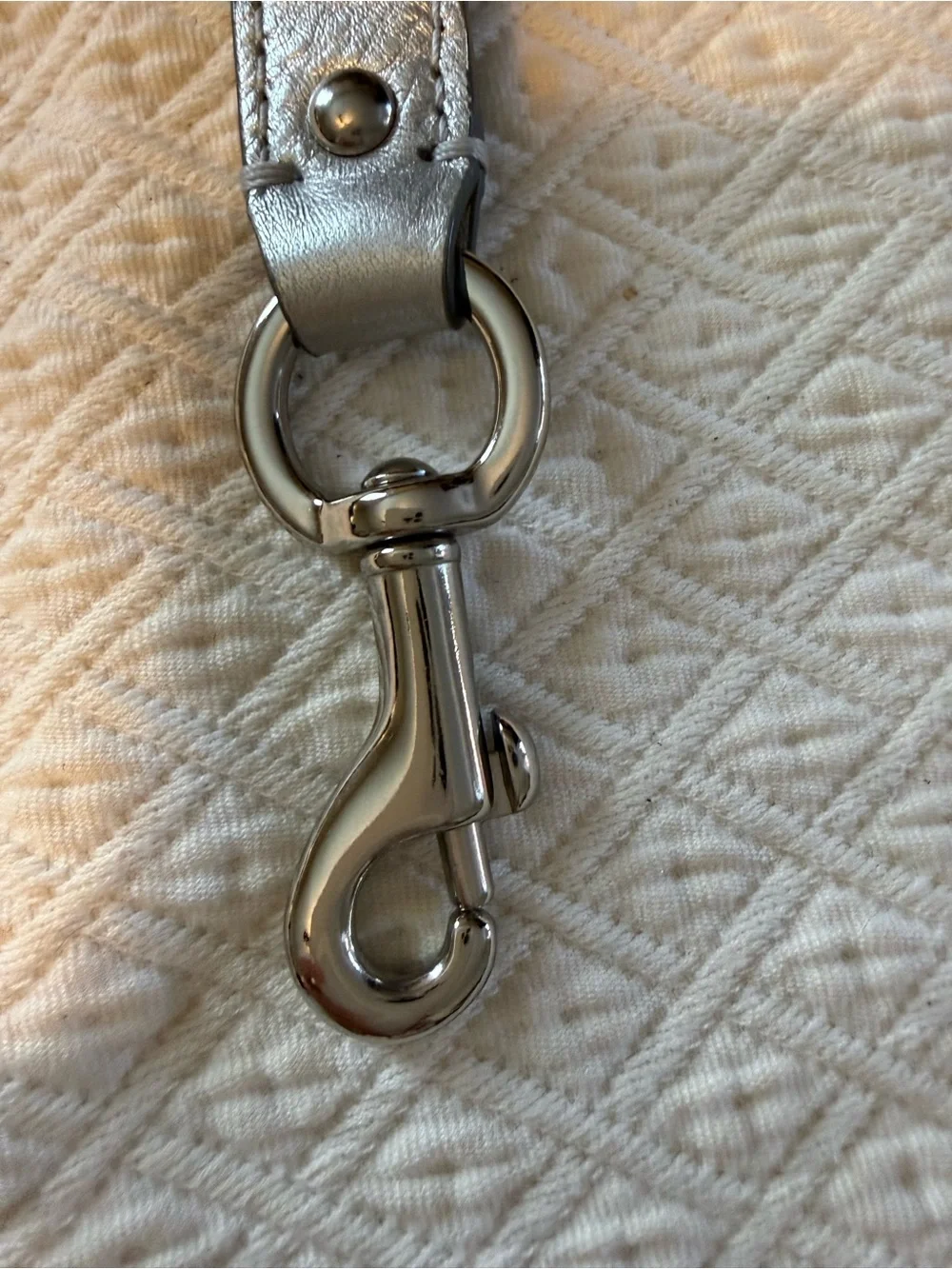 Coach Zoe Shoulder strap - Metallic Silver Leather replacement strap - Picture 7 of 10